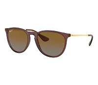 Gafas de sol Ray-Ban RB4171 6593T5 54-18