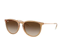 Gafas de sol Ray-Ban RB4171 681413 54-18