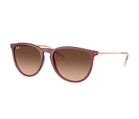 Gafas de sol Ray-Ban RB4171 6815A5 54-18