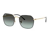 Gafas de sol Ray-Ban RB3694 9271GK 53-20