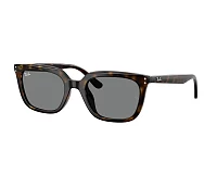 Gafas de sol Ray-Ban RB4439D 710/87 54-21