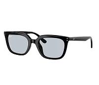 Gafas de sol Ray-Ban RB4439D 901/72 54-21