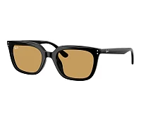 Gafas de sol Ray-Ban RB4439D 901/73 54-21