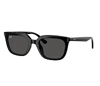 Gafas de sol Ray-Ban RB4439D 901/87 54-21