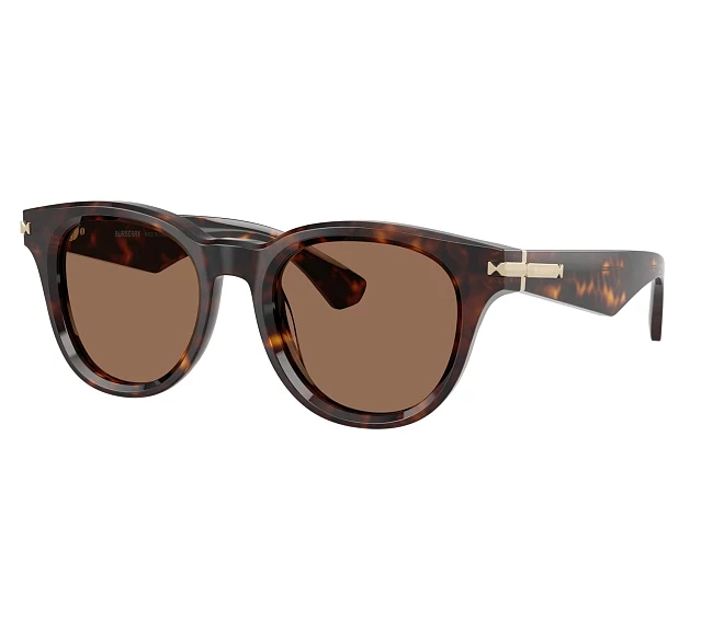 Gafas de sol Burberry BE4439 300273 51 21 Marrón