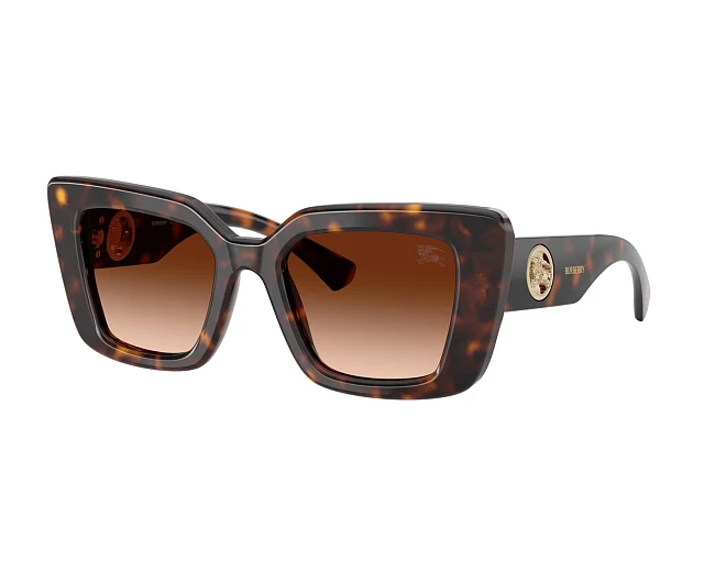 Gafas de sol Burberry BE4476 300274 51 20 Marrón