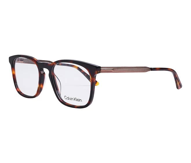 Gafas de vista Calvin Klein CK-22503 609 53 19 HavanaOro nuez