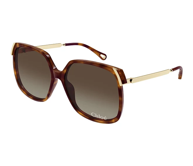 Gafas de sol Chloe CH0286S 002 60 15 Havana