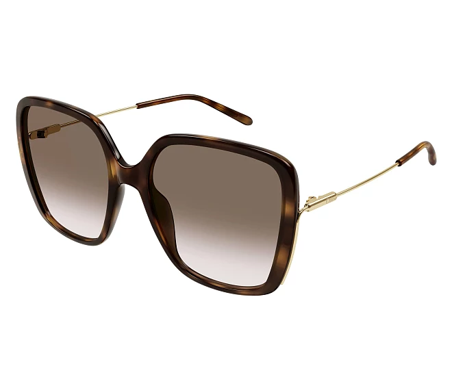 Gafas de sol Chloe CH0173S 002 57 19 Havana