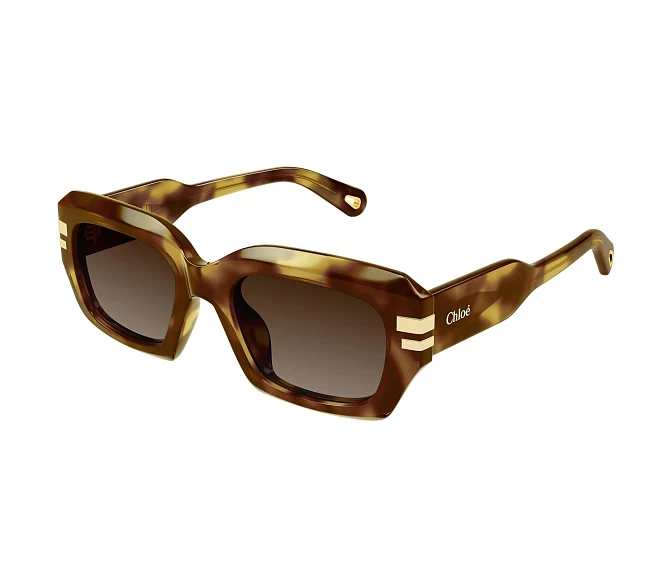 Gafas de sol Chloe CH0256S 002 53 20 Havana