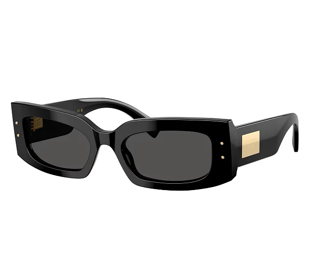 Gafas de sol Dolce & Gabbana DG4479 501/87 55 20 Negra