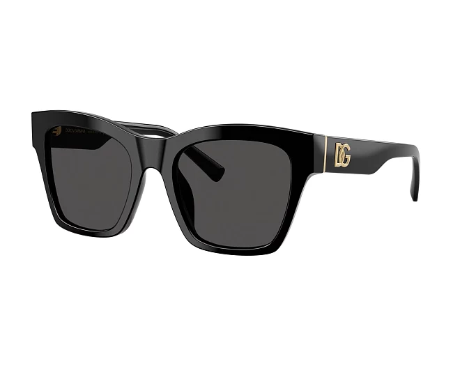 Gafas de sol Dolce & Gabbana DG4512 501/87 53 20 Negra
