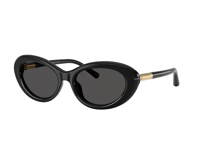 Gafas de sol Dolce & Gabbana DG4519 501/87 54 18 Negra