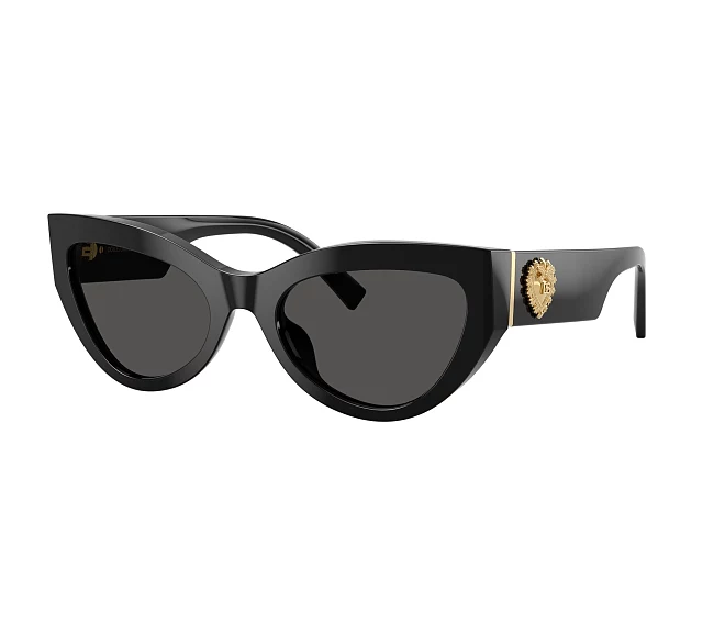 Gafas de sol Dolce & Gabbana DG4536 501/87 55 20 Negra