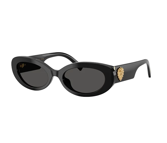 Gafas de sol Dolce & Gabbana DG4537 501/87 53 19 Negra