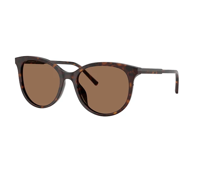 Gafas de sol Dolce & Gabbana DG4540 502/13 55 18 Havana