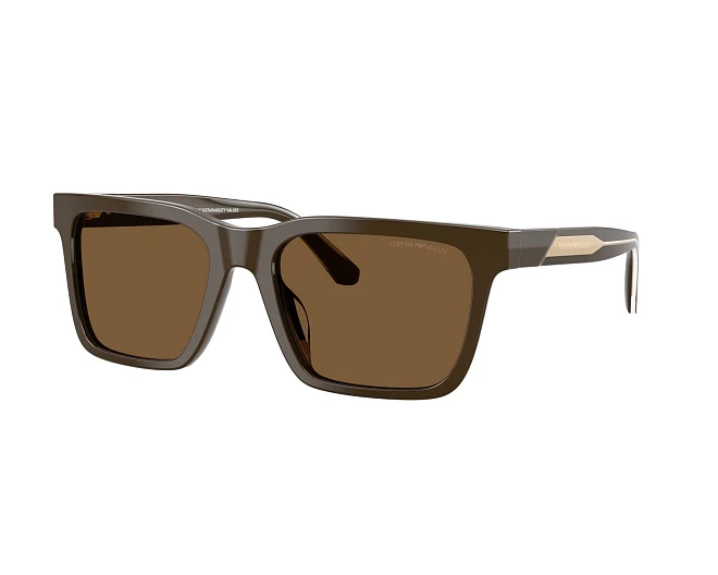 Gafas de sol Emporio Armani EA4262U 630773 57 19 Marrón