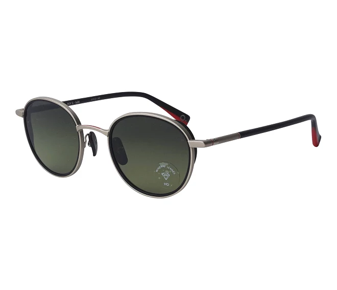 Gafas de sol Etnia Barcelona ROYS SLBK 49 21 GrisNegro