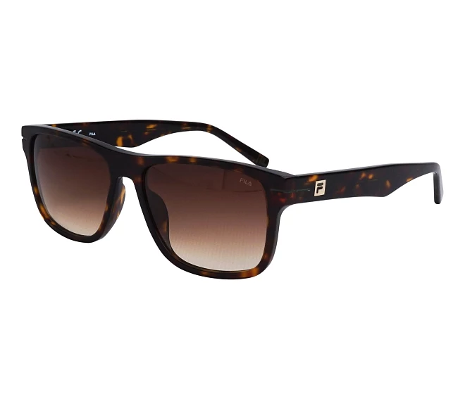 Gafas de sol Fila SFI208 0722 56 16 Marrón