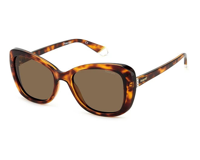 Gafas de sol Polaroid PLD-4132-S-X 086/SP  53 19 Havana