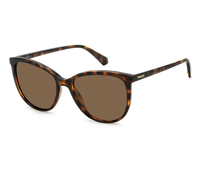 Gafas de sol Polaroid PLD-4138-S 086/SP 55 18 Havana