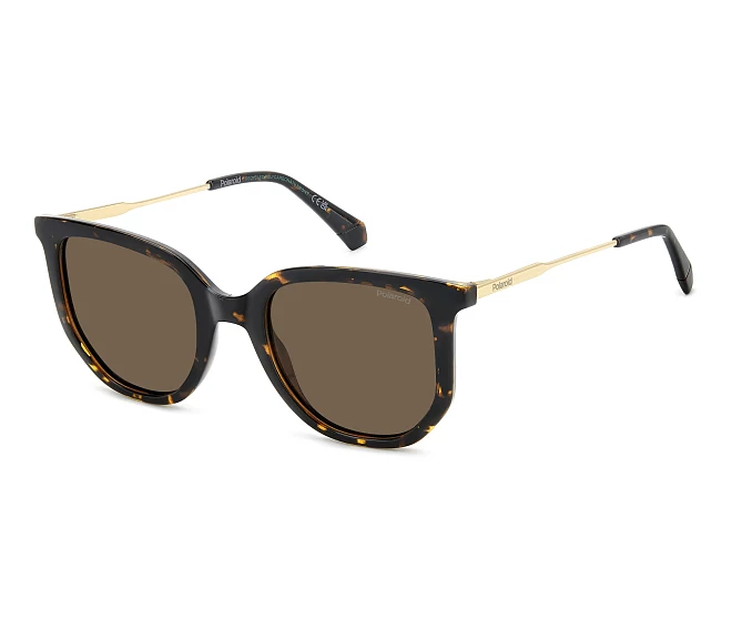 Gafas de sol Polaroid PLD-4185-S-X 086/SP 51 21 Havana