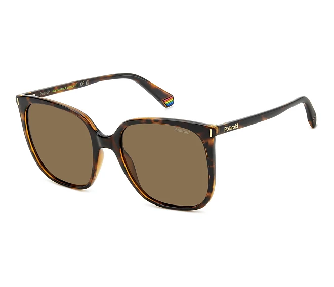 Gafas de sol Polaroid PLD-6218-S 086/SP 56 19 Havana