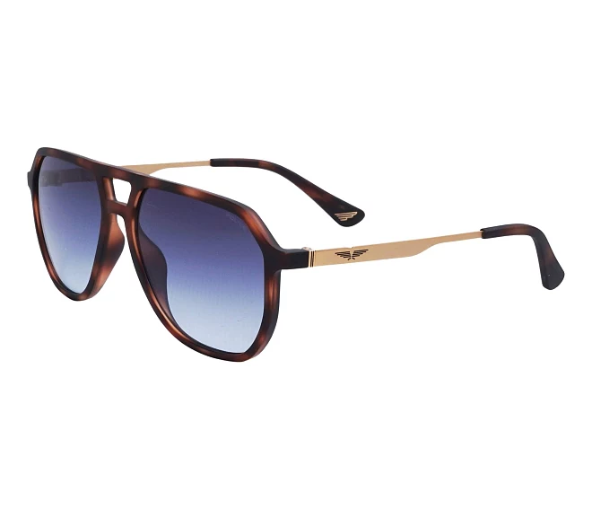 Gafas de sol Police SPLQ81 0878 57 16 HavanaOro