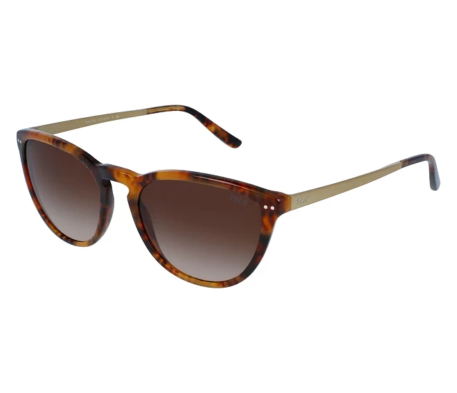 Gafas de sol Polo Ralph Lauren PH-4118 5017/13 55 19 HavanaOro