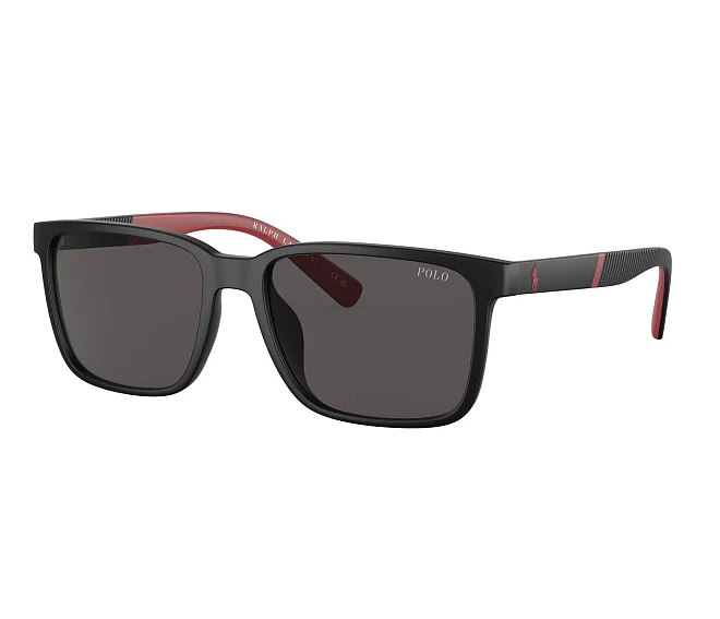 Gafas de sol Polo Ralph Lauren PH4189U 537587 55 17 Negra