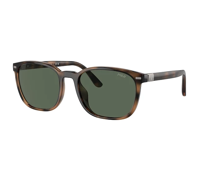 Gafas de sol Polo Ralph Lauren PH4208U 597471 55 19 Havana