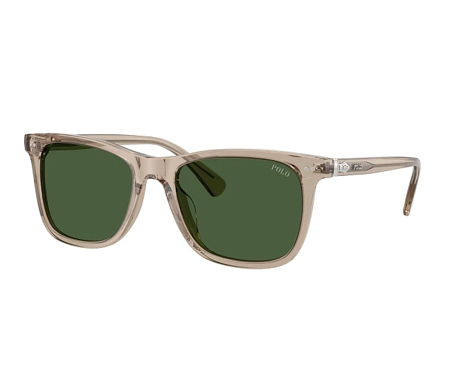 Gafas de sol Polo Ralph Lauren PH4220U 620171 55 19 Marrón