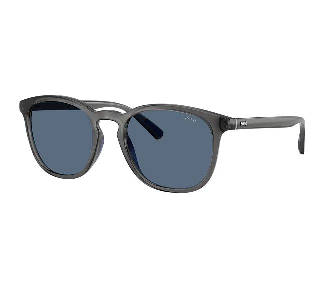 Gafas de sol Polo Ralph Lauren PH4222U 579980 52 20 Gris