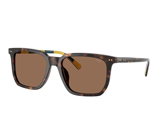 Gafas de sol Polo Ralph Lauren PH4224U 500373 55 18 Havana