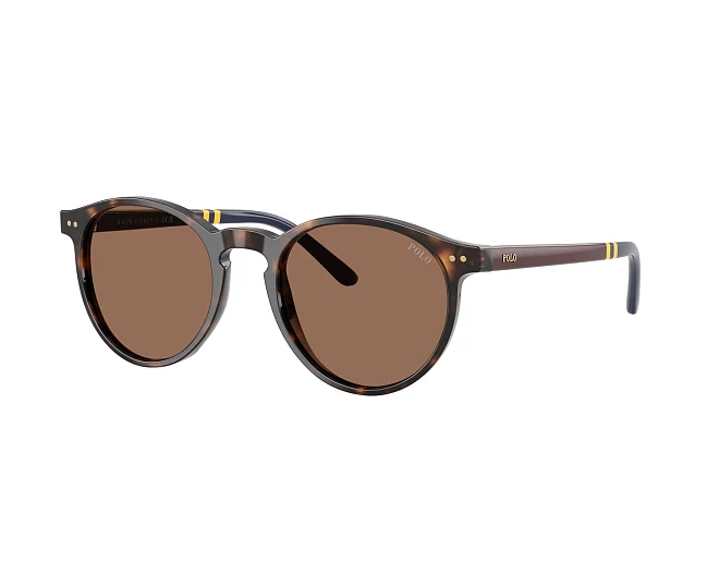 Gafas de sol Polo Ralph Lauren PH4236 500373 50 20 Havana
