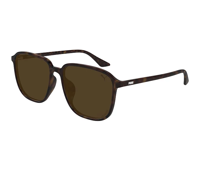 Gafas de sol Puma PU0525SA 004 58 16 Havana