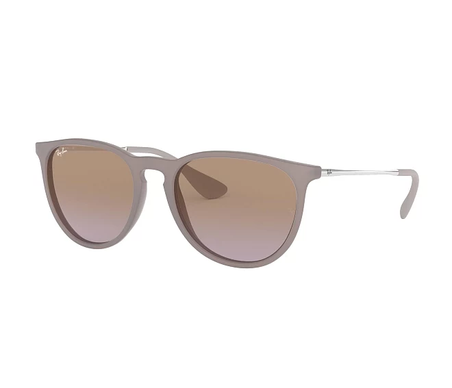 Gafas de sol Ray-Ban RB4171 600068 54 18 Marrón