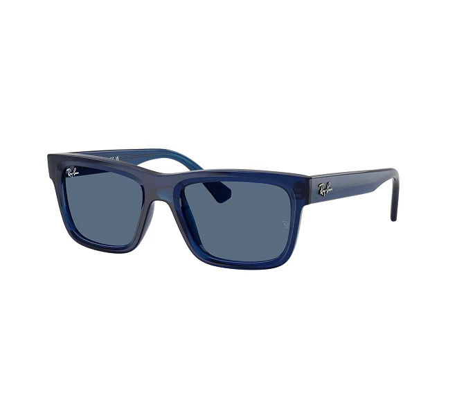 Gafas de sol Ray-Ban RJ9196S 719080 49 17 Azul