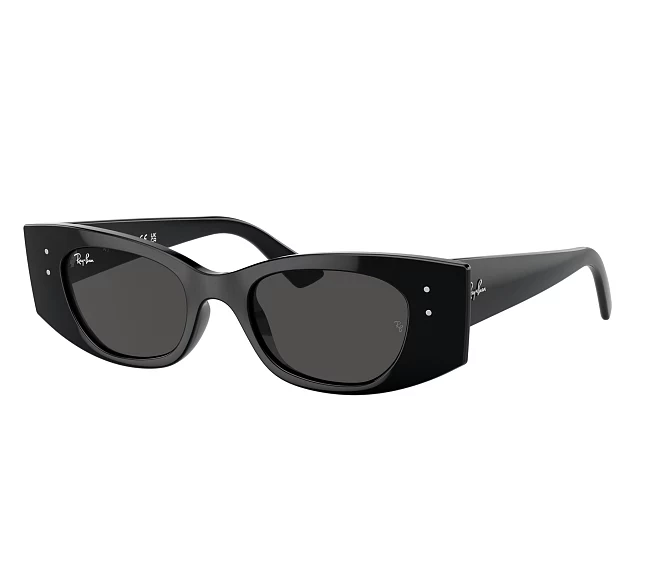 Gafas de sol Ray-Ban RB4427 667787 49 20 Negra