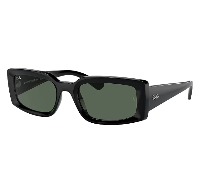 Gafas de sol Ray-Ban RB4395 667771 54 21 Negra