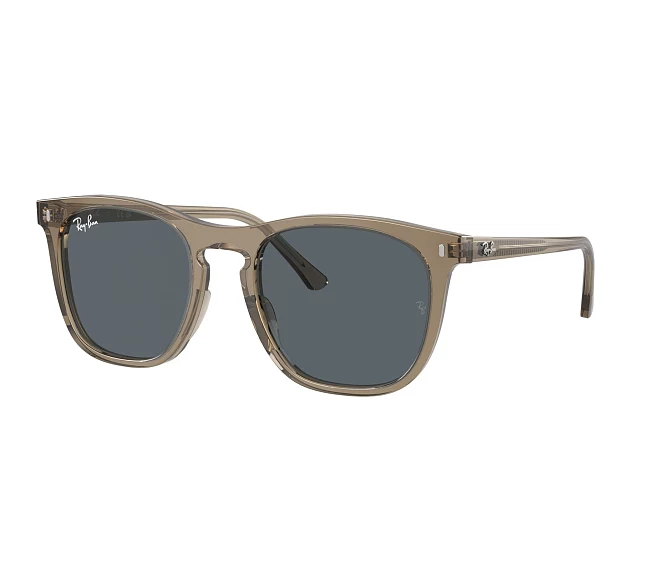 Gafas de sol Ray-Ban RB2210 6765R5 53 21 Marrón