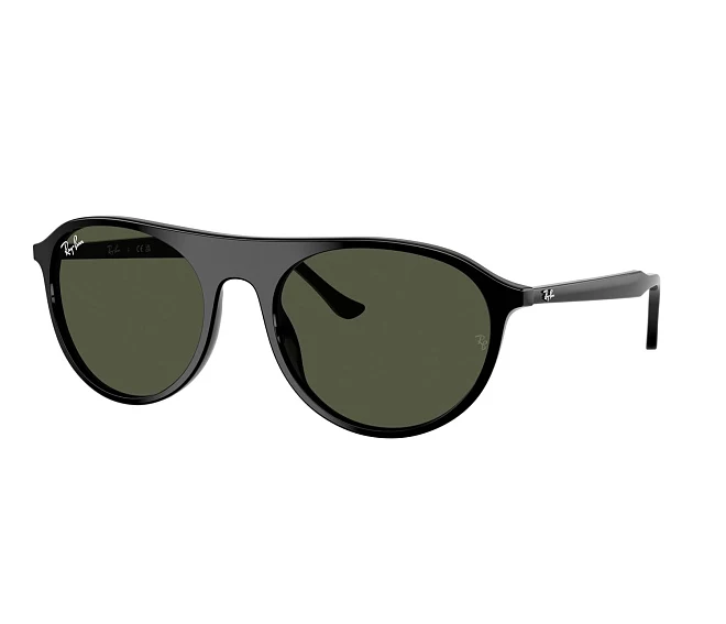 Gafas de sol Ray-Ban RB2215 901/31 56 20 Negra