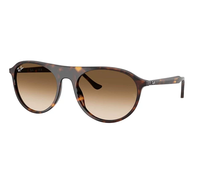 Gafas de sol Ray-Ban RB2215 902/51 56 20 Havana