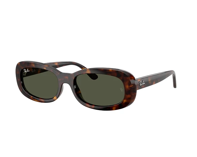 Gafas de sol Ray-Ban RB2221 902/31 53 18 Havana