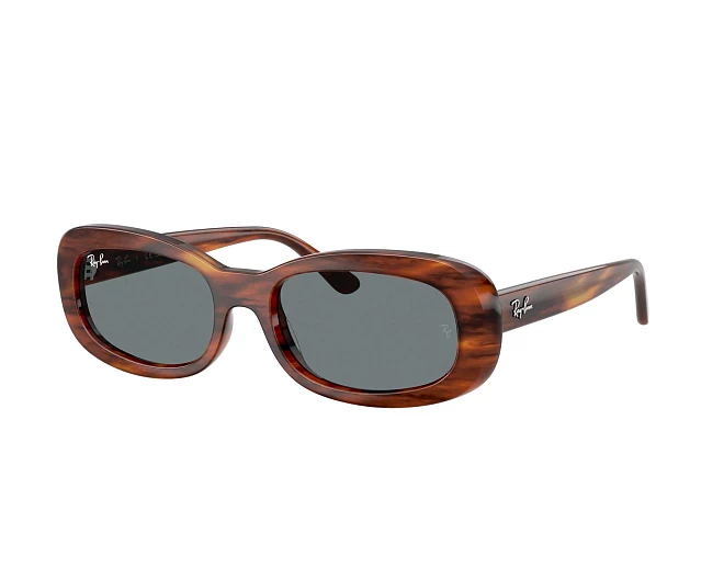 Gafas de sol Ray-Ban RB2221 954/62 53 18 Marrón