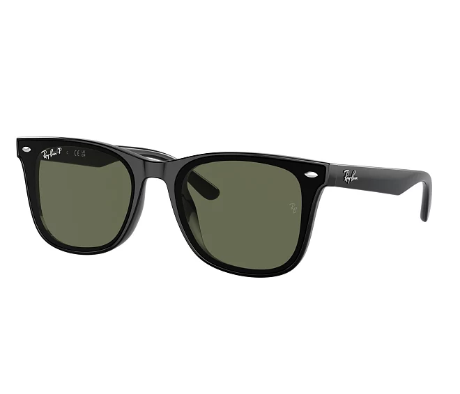 Gafas de sol Ray-Ban RB4420 601/9A 65 18 Negra