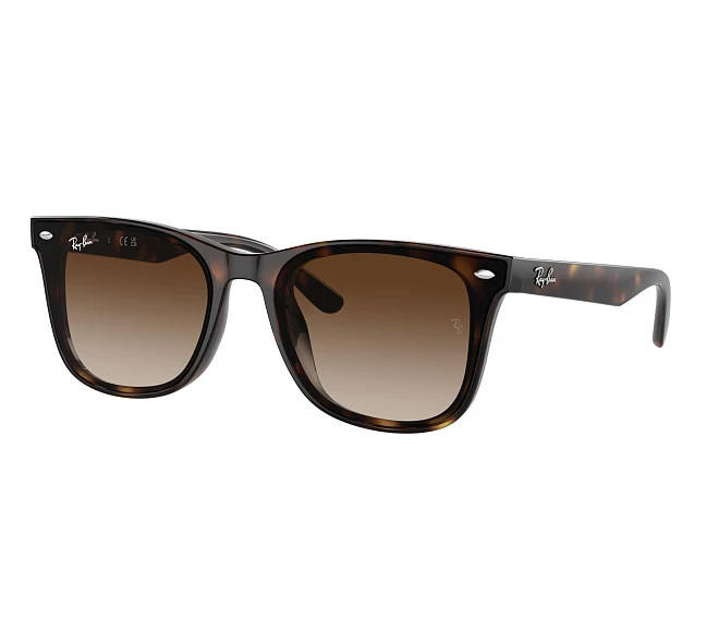 Gafas de sol Ray-Ban RB4420 710/13 65 18 Havana