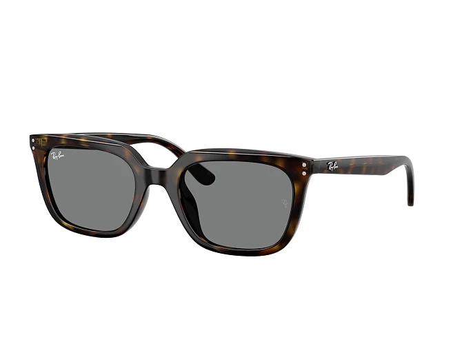 Gafas de sol Ray-Ban RB4439D 710/87 54 21 Havana