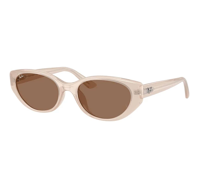 Gafas de sol Ray-Ban RB4457D 678673 55 19 Marrón