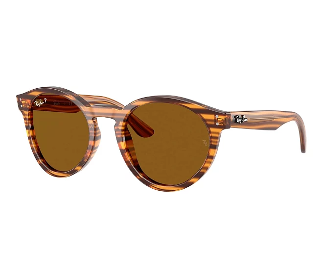 Gafas de sol Ray-Ban RBR0505S 679183 52 22 Marrón